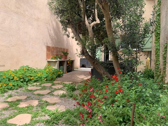 Appartement L'Olivier De Nonna à Gruissan Extérieur photo