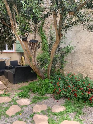 Appartement L'Olivier De Nonna à Gruissan Extérieur photo